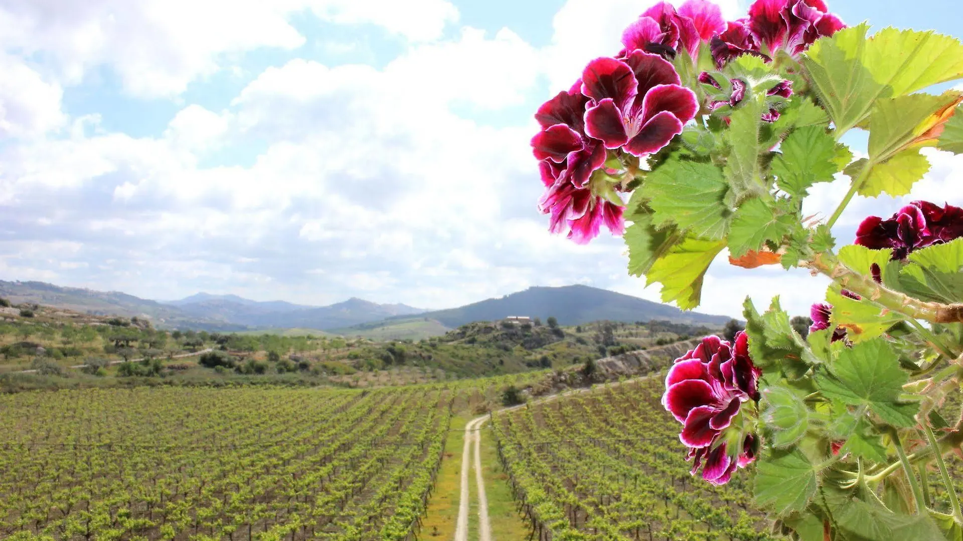 Alloggio per agriturismo Agriturismo La Casa di Bacco Agrigento Italia