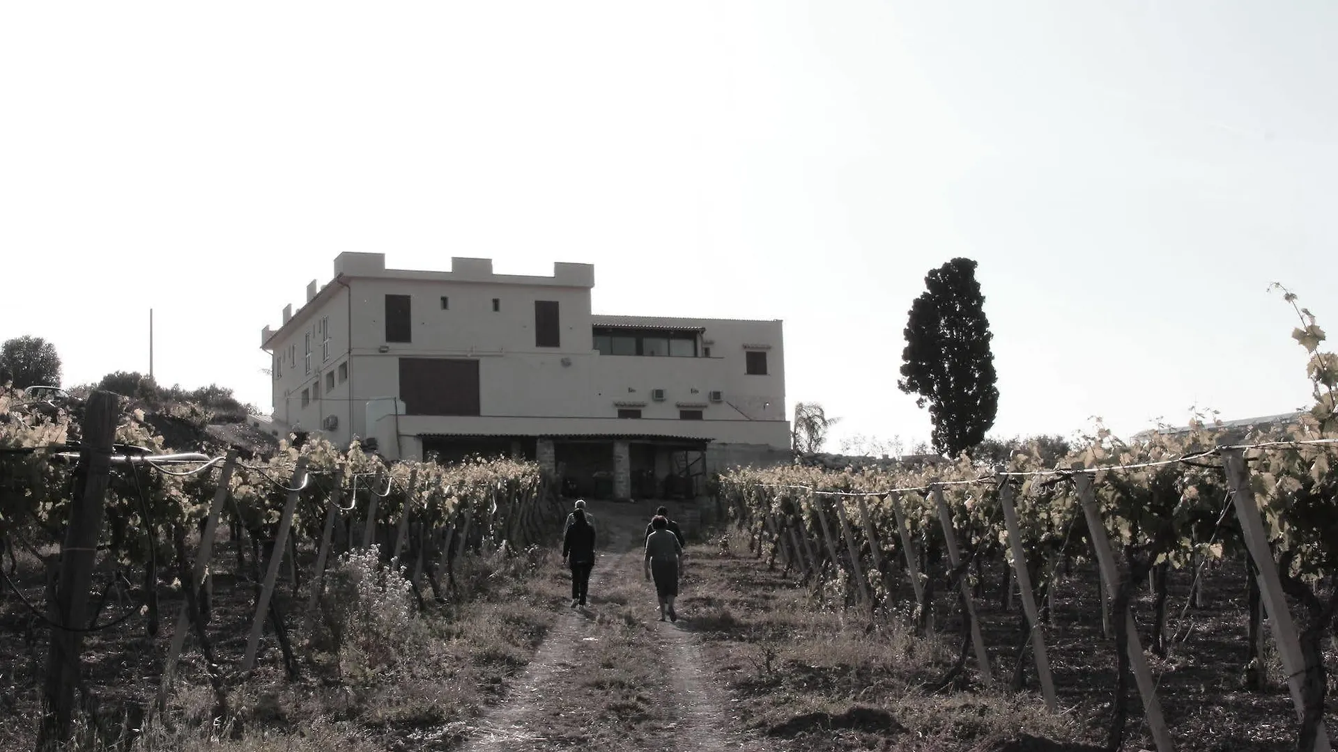 Agriturismo La Casa di Bacco Agrigento Alloggio per agriturismo